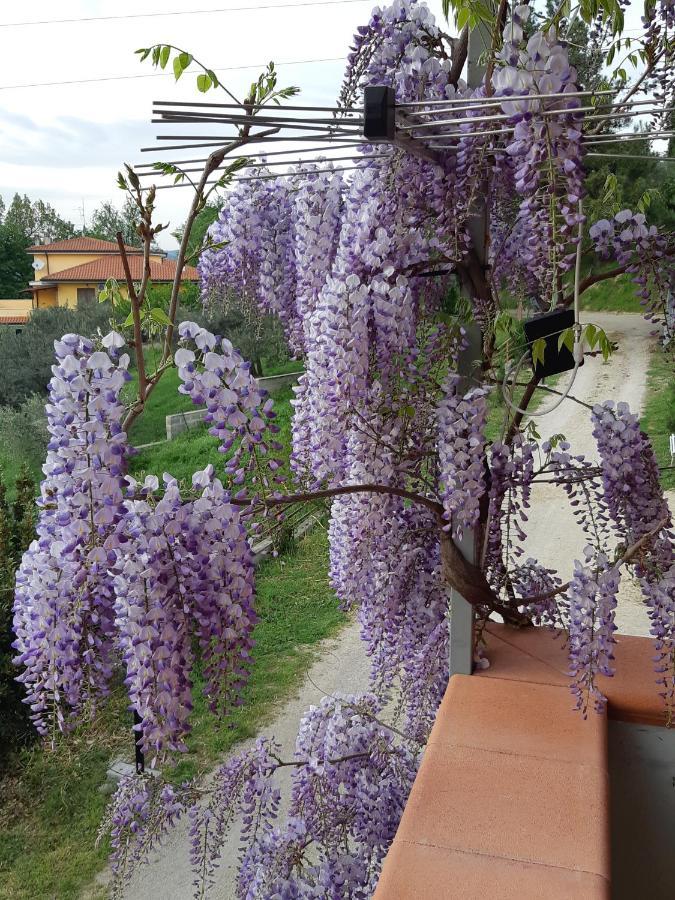 Il Glicine Bed & Breakfast Chieti Exterior photo